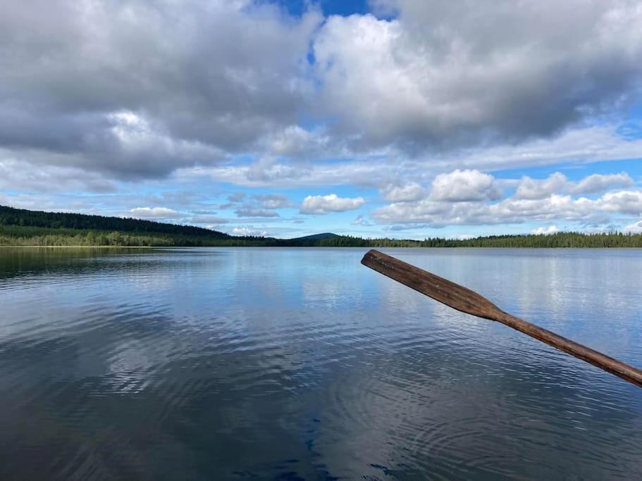 Lakeside Wilderness Cabin Йокмокк Экстерьер фото