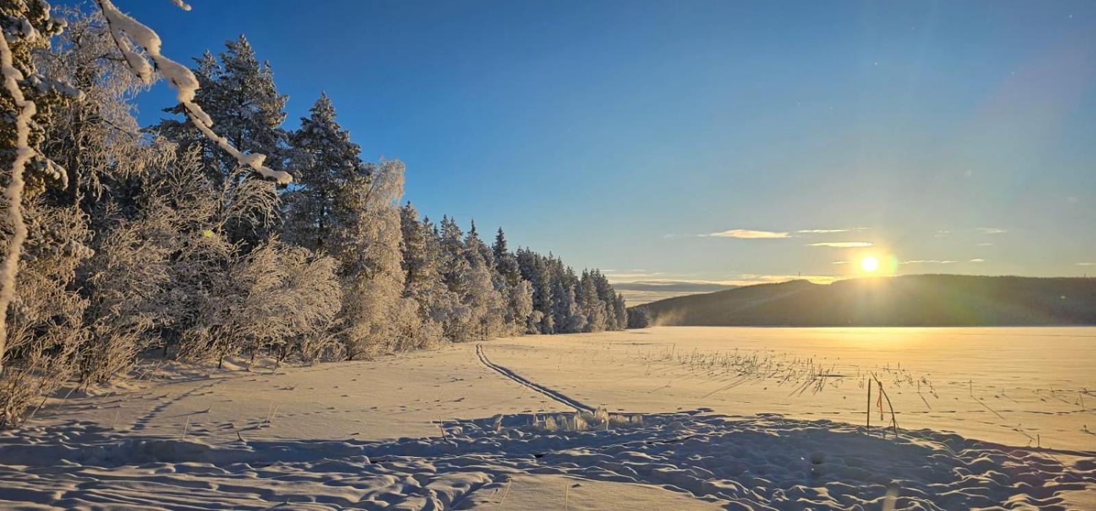 Lakeside Wilderness Cabin Йокмокк Экстерьер фото