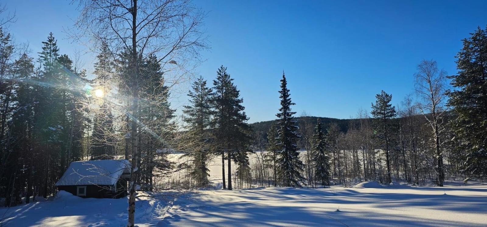 Lakeside Wilderness Cabin Йокмокк Экстерьер фото