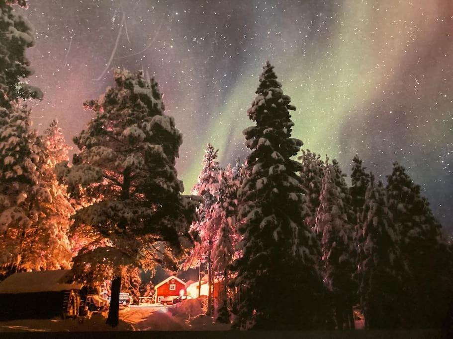 Lakeside Wilderness Cabin Йокмокк Экстерьер фото