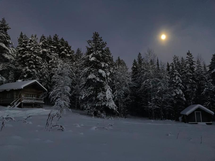 Lakeside Wilderness Cabin Йокмокк Экстерьер фото