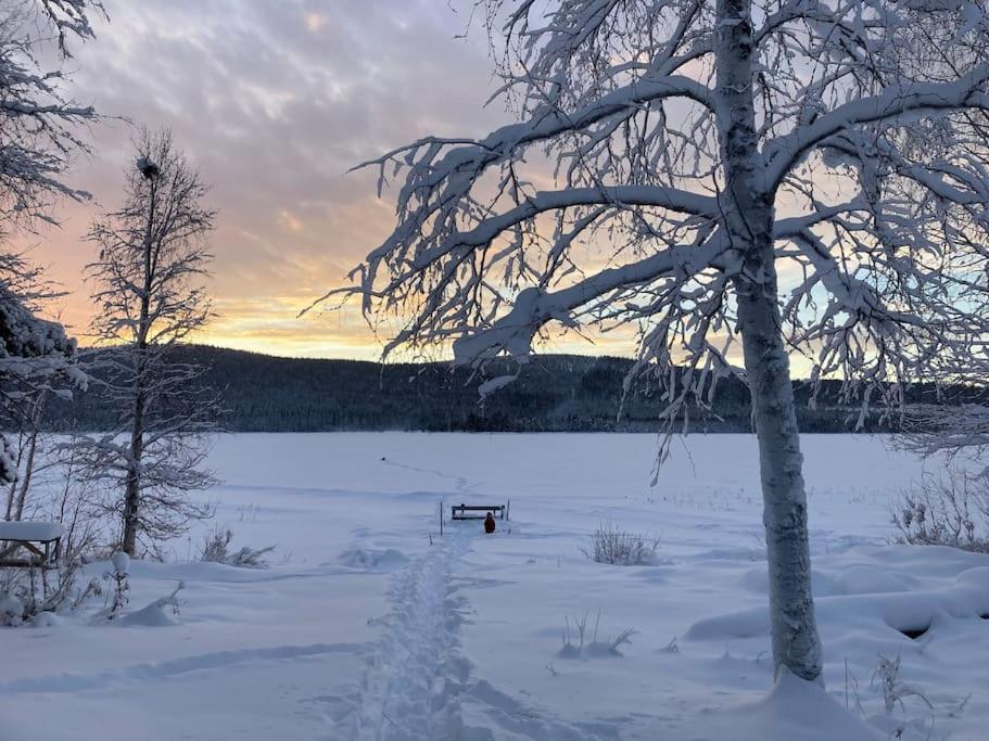 Lakeside Wilderness Cabin Йокмокк Экстерьер фото