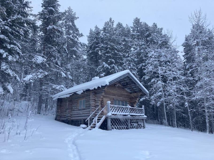 Lakeside Wilderness Cabin Йокмокк Экстерьер фото