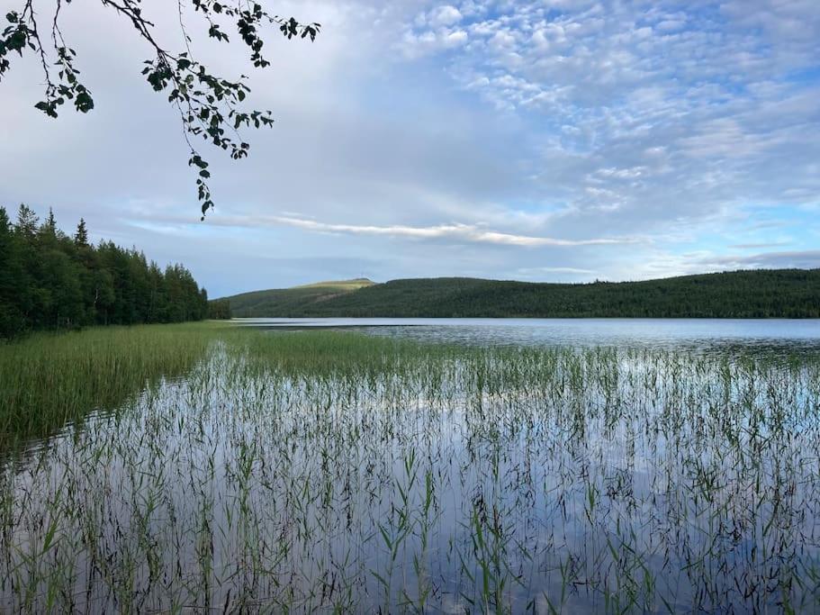 Lakeside Wilderness Cabin Йокмокк Экстерьер фото