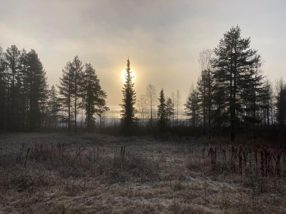 Lakeside Wilderness Cabin Йокмокк Экстерьер фото